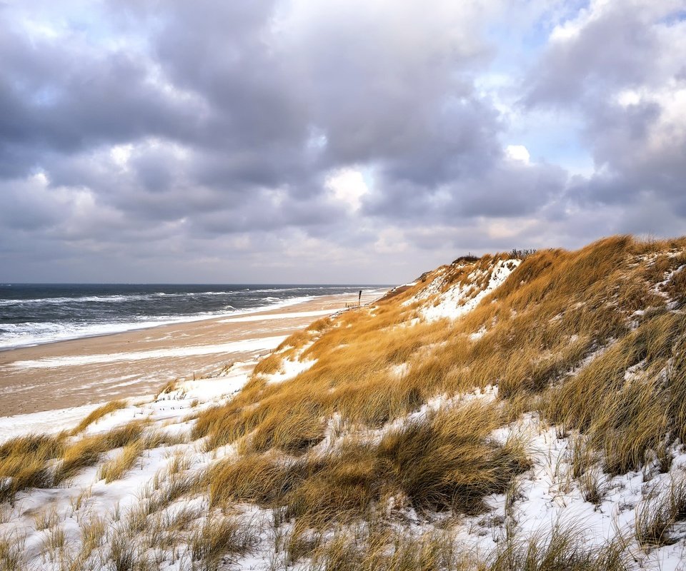 Обои небо, трава, зима, море, пляж, дюны, the sky, grass, winter, sea, beach, dunes разрешение 2048x1365 Загрузить