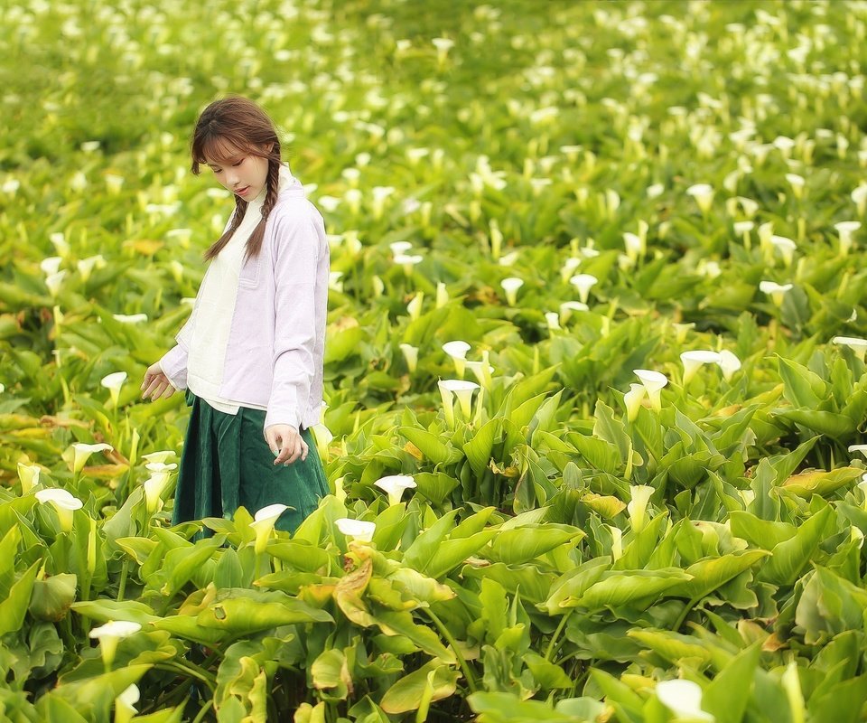 Обои цветы, поле, лето, лицо, прогулка, азиатка, косички, flowers, field, summer, face, walk, asian, braids разрешение 2048x1365 Загрузить