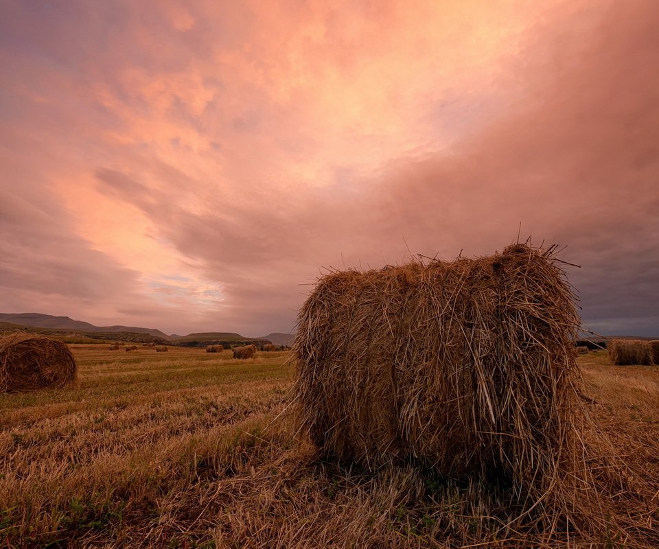 Обои закат, пейзаж, поле, сено, тюки, рулоны, sunset, landscape, field, hay, bales, rolls разрешение 1920x1200 Загрузить