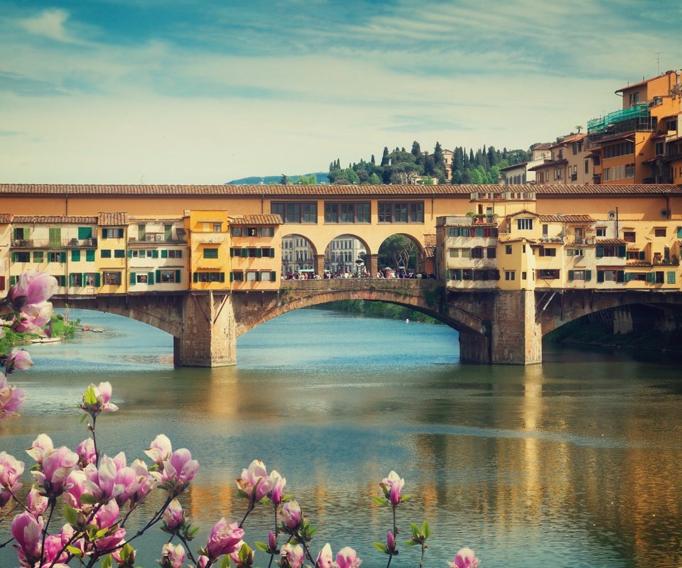 Обои цветение, ponte vecchio, панорама, мост, город, италия, весна, флоренция, европа, flowering, panorama, bridge, the city, italy, spring, florence, europe разрешение 5040x3416 Загрузить