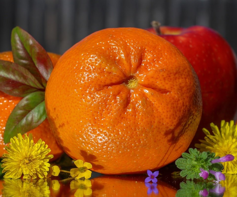 Обои цветы, фрукты, апельсин, яблоко, цитрус, flowers, fruit, orange, apple, citrus разрешение 2048x1278 Загрузить