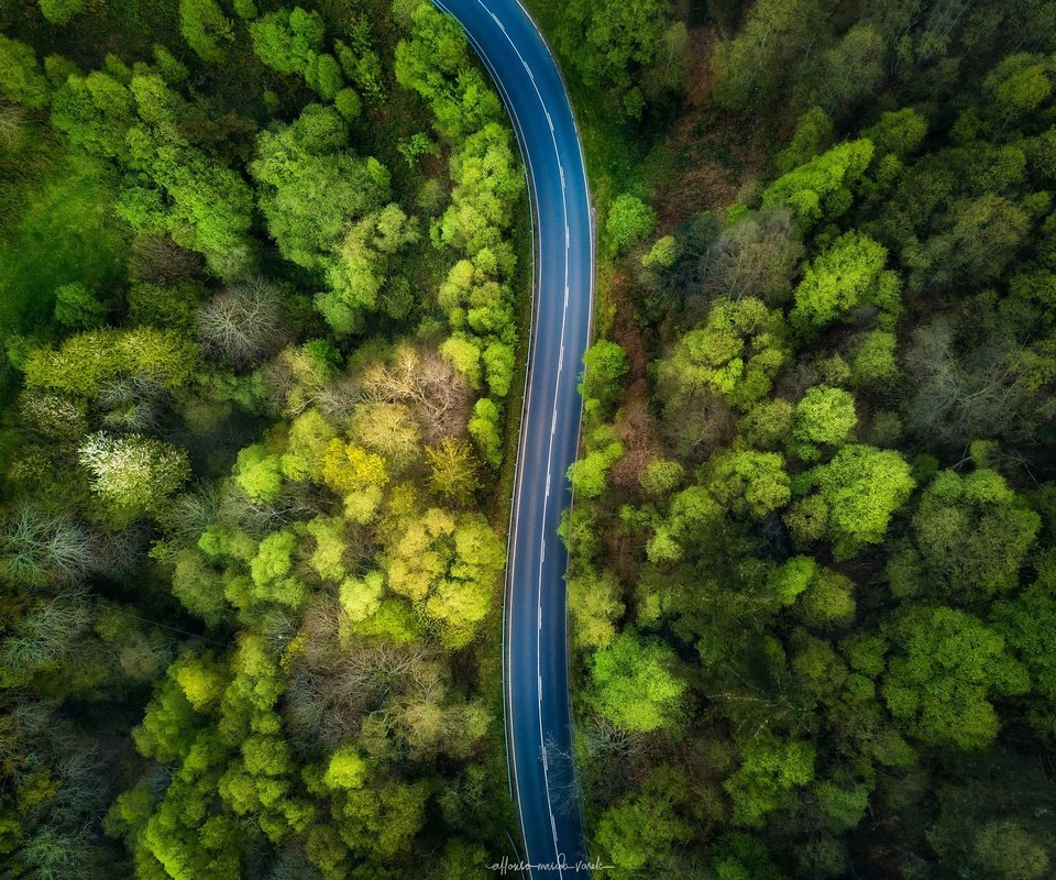 Обои дорога, деревья, природа, лес, вид сверху, road, trees, nature, forest, the view from the top разрешение 2048x1532 Загрузить