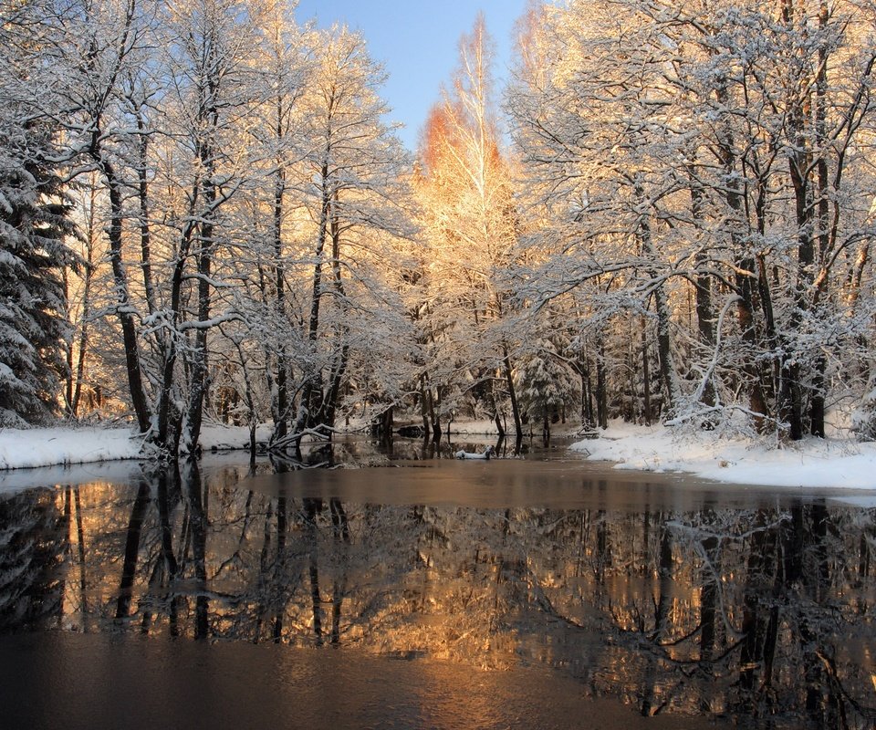 Обои деревья, река, снег, лес, зима, отражение, лёд, trees, river, snow, forest, winter, reflection, ice разрешение 2560x1600 Загрузить