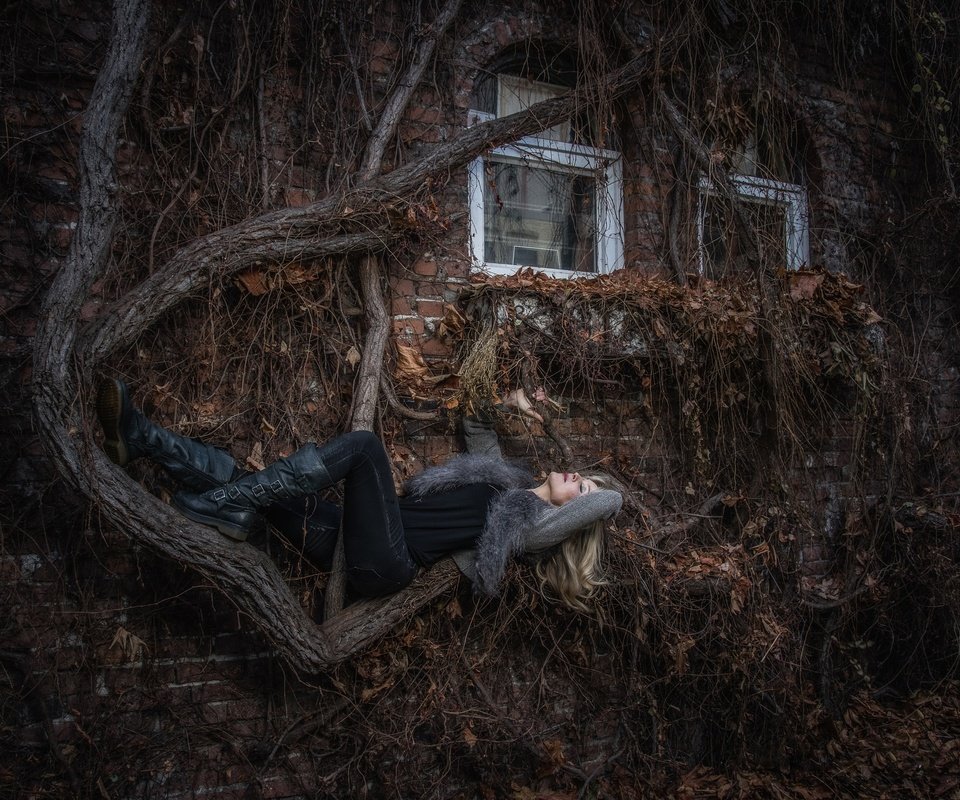 Обои дерево, девушка, поза, блондинка, дом, заросли, tree, girl, pose, blonde, house, thickets разрешение 2500x2000 Загрузить