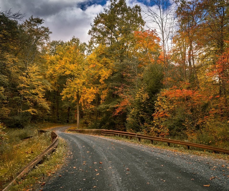 Обои дорога, деревья, листья, осень, road, trees, leaves, autumn разрешение 2048x1316 Загрузить
