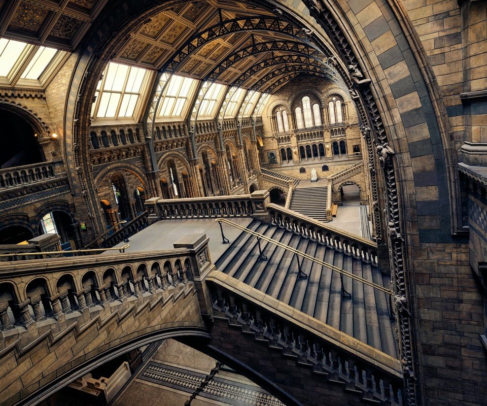 Обои лестница, лондон, зал, англия, музей естествознания, ladder, london, hall, england, museum of natural history разрешение 2048x1290 Загрузить