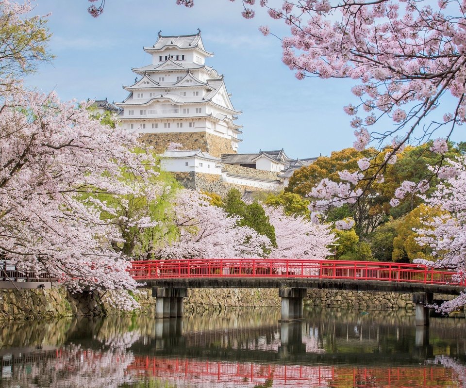 Обои мост, замок, япония, сакура, химэдзи, bridge, castle, japan, sakura, himeji разрешение 2048x1341 Загрузить