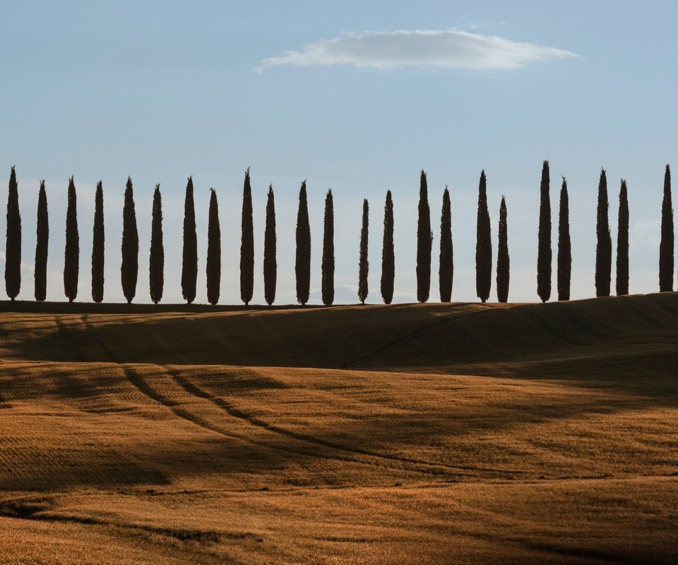 Обои небо, деревья, холмы, поля, италия, тоскана, the sky, trees, hills, field, italy, tuscany разрешение 2048x1367 Загрузить