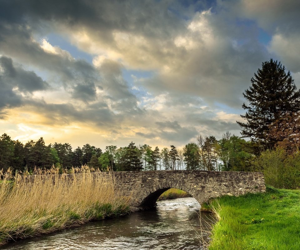 Обои небо, трава, облака, деревья, река, природа, мост, the sky, grass, clouds, trees, river, nature, bridge разрешение 2560x1709 Загрузить