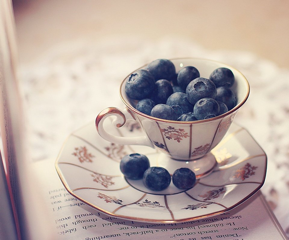 Обои блюдце, ягоды, чашка, черника, салфетка, книга, страницы, saucer, berries, cup, blueberries, napkin, book, page разрешение 2560x1600 Загрузить