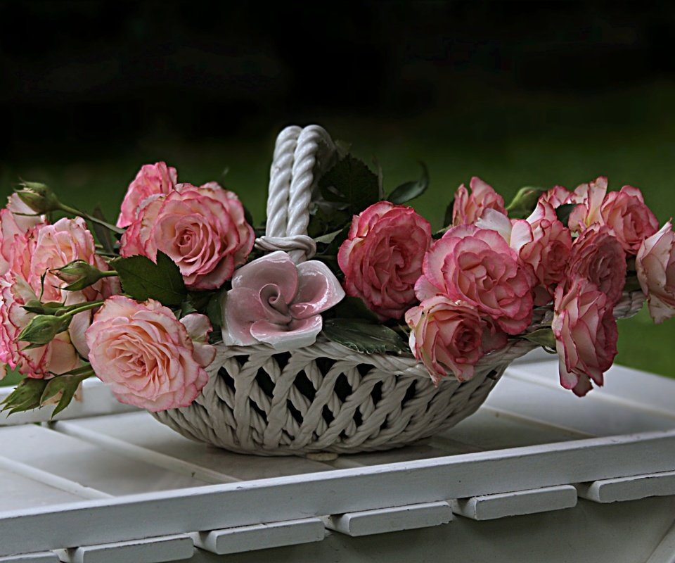 Обои цветы, розы, доски, ваза, столик, flowers, roses, board, vase, table разрешение 3092x2061 Загрузить