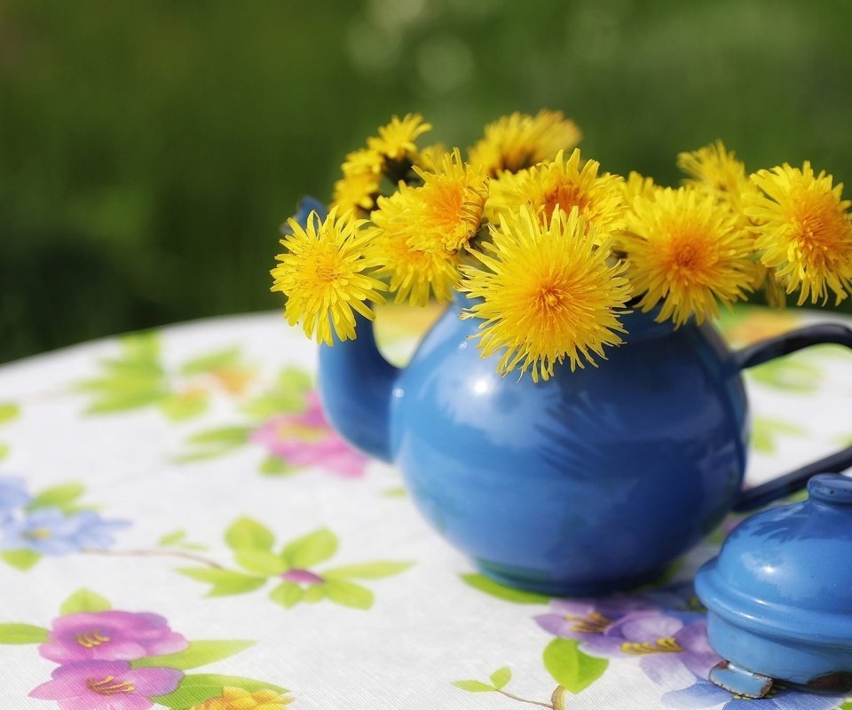 Обои цветы, стол, одуванчики, чайник, скатерть, flowers, table, dandelions, kettle, tablecloth разрешение 2048x1365 Загрузить