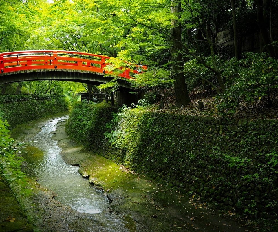 Обои деревья, вода, мостик, парк, канал, япония, trees, water, the bridge, park, channel, japan разрешение 2048x1152 Загрузить