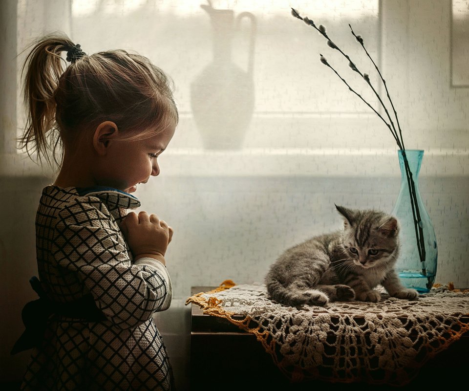 Обои котенок, радость, девочка, ребенок, животное, малышка, kitty, joy, girl, child, animal, baby разрешение 3000x2120 Загрузить