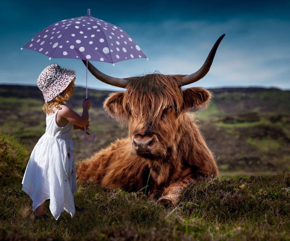 Обои природа, шляпка, фон, платье, девочка, ребенок, рога, зонтик, корова, nature, hat, background, dress, girl, child, horns, umbrella, cow разрешение 5616x3744 Загрузить