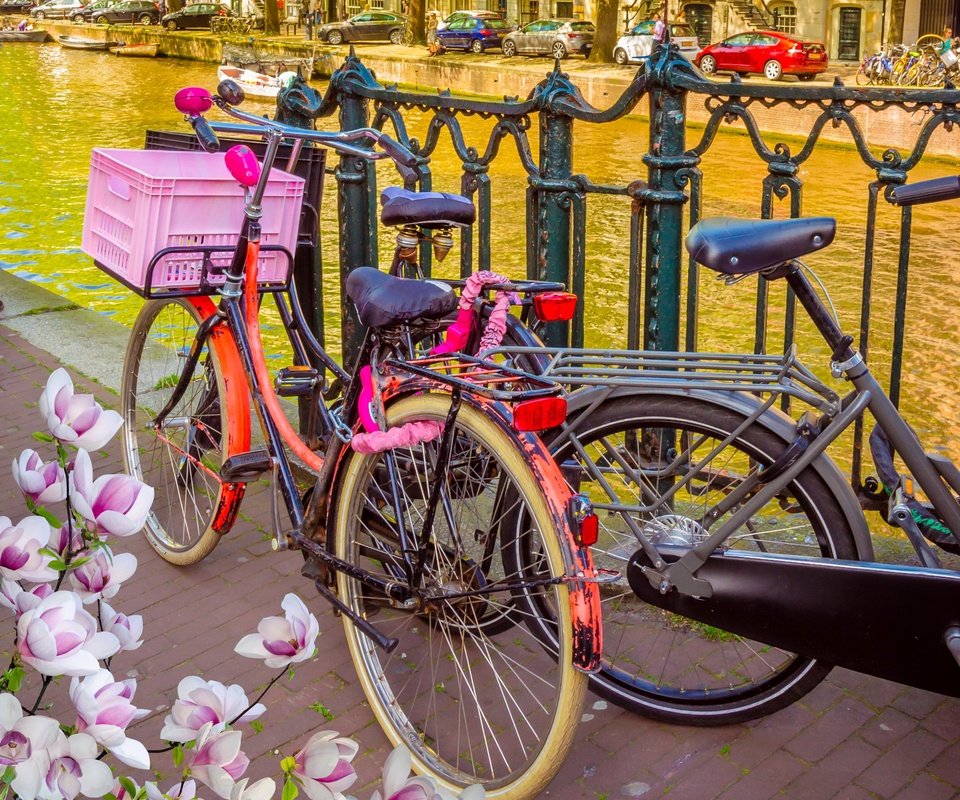 Обои цветы, река, цветение, весна, велосипед, нидерланды, амстердам, flowers, river, flowering, spring, bike, netherlands, amsterdam разрешение 3200x2780 Загрузить