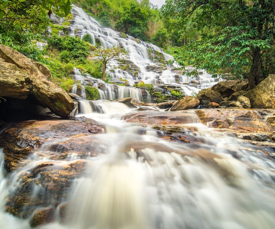 Обои река, лес, пейзаж, водопад, джунгли, каскад, river, forest, landscape, waterfall, jungle, cascade разрешение 6016x4016 Загрузить