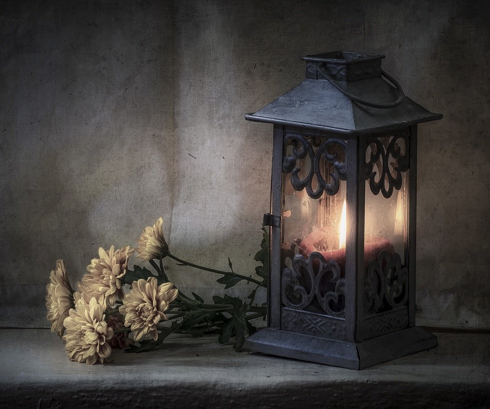 Обои цветы, стиль, фонарь, свеча, хризантемы, flowers, style, lantern, candle, chrysanthemum разрешение 3600x2384 Загрузить