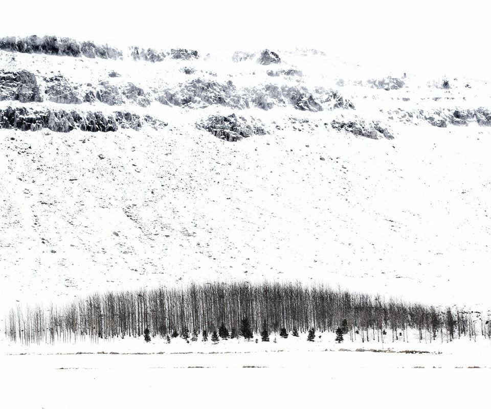 Обои деревья, снег, зима, исландия, trees, snow, winter, iceland разрешение 5247x3498 Загрузить