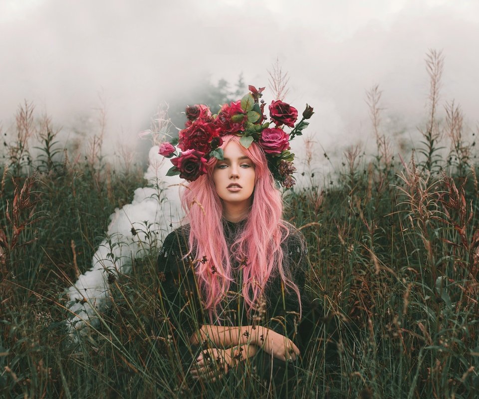 Обои трава, девушка, розы, взгляд, волосы, венок, розовые волосы, alexandra cameron, grass, girl, roses, look, hair, wreath, pink hair разрешение 2048x1365 Загрузить