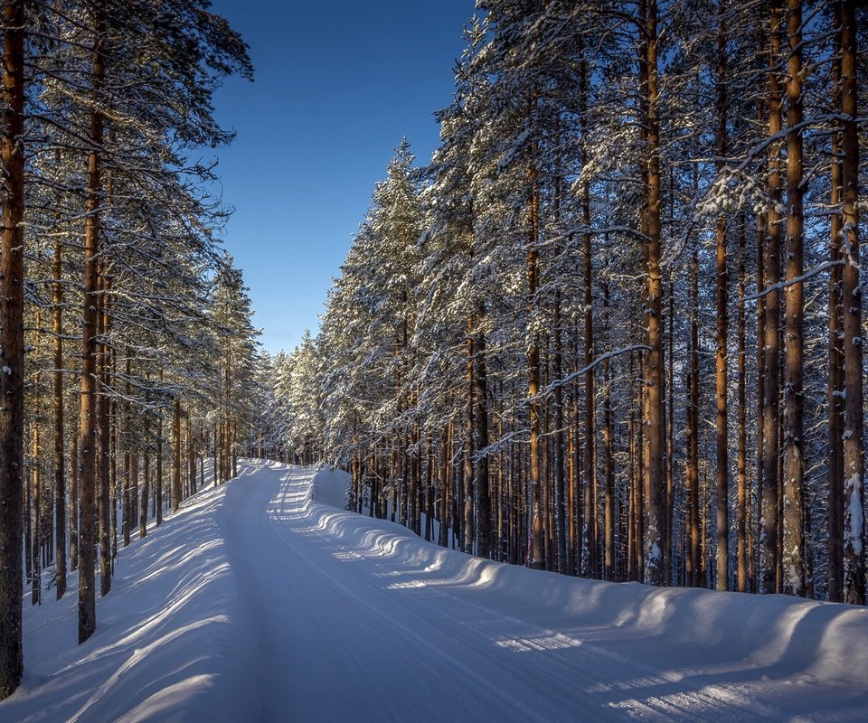 Обои дорога, деревья, снег, лес, зима, road, trees, snow, forest, winter разрешение 1920x1112 Загрузить