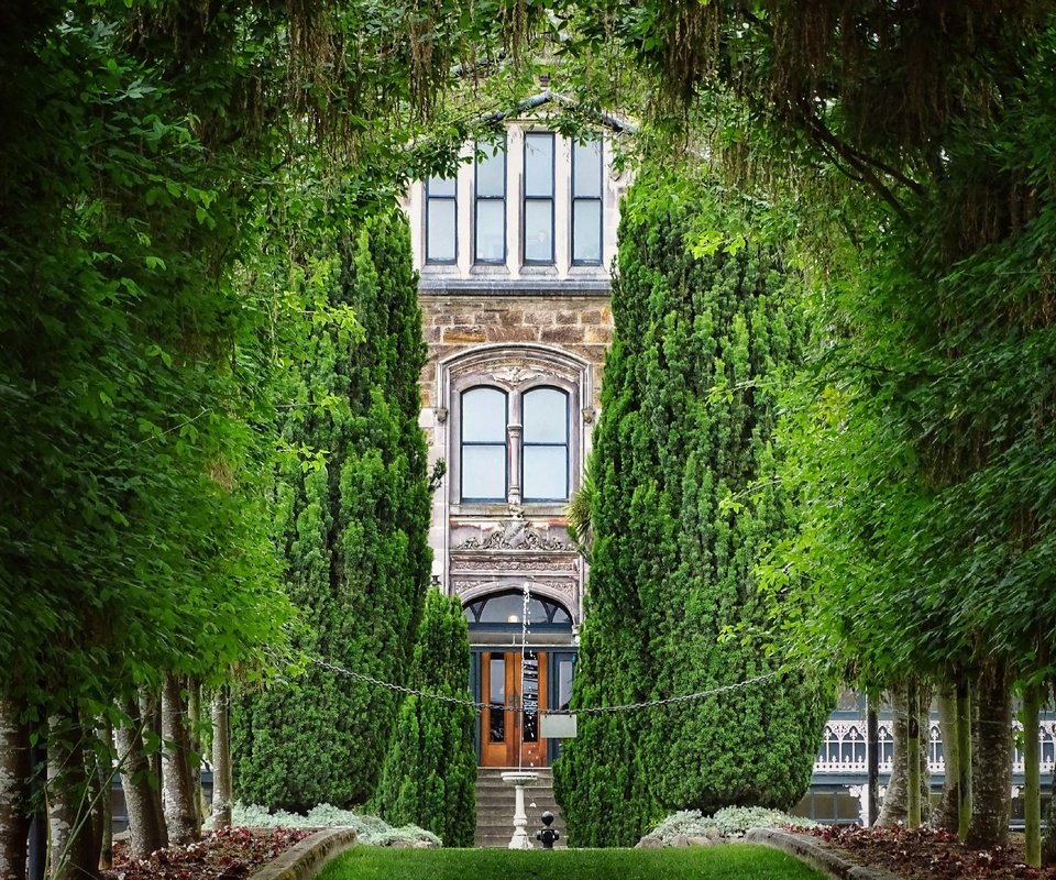 Обои деревья, замок, новая зеландия, larnach castle, данидин, trees, castle, new zealand, dunedin разрешение 2560x2091 Загрузить