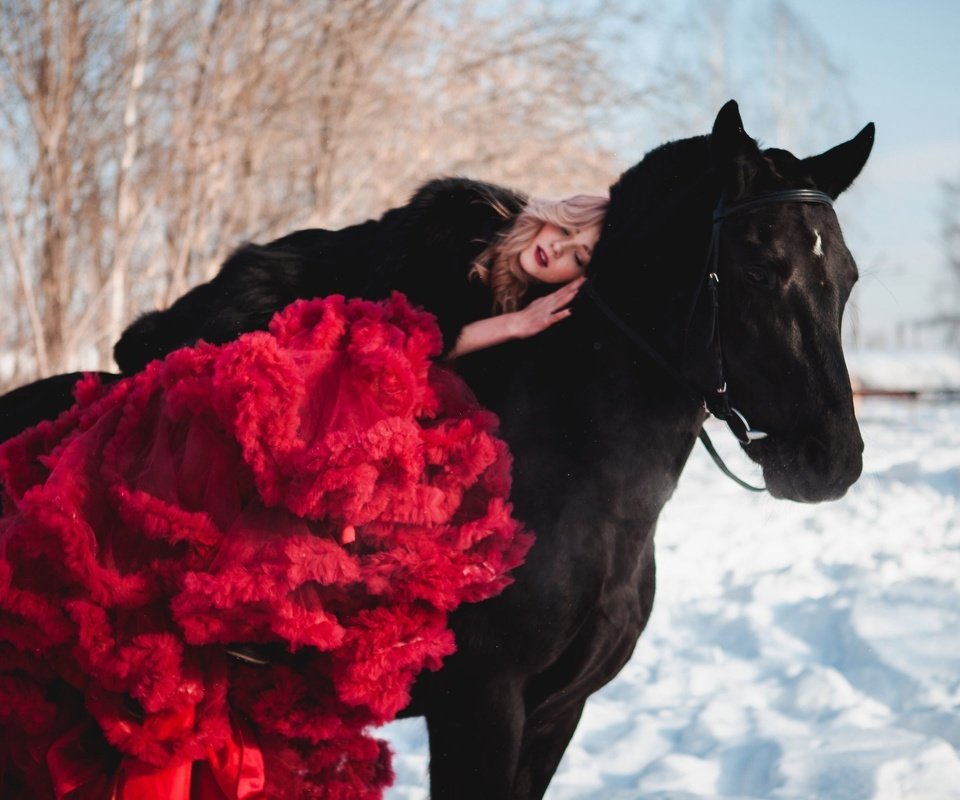 Обои лошадь, снег, зима, девушка, блондинка, юбка, конь, horse, snow, winter, girl, blonde, skirt разрешение 2560x1707 Загрузить