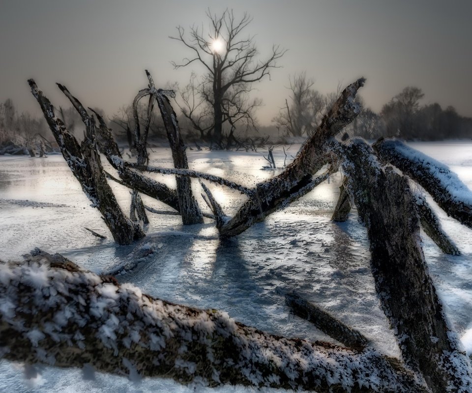 Обои деревья, озеро, зима, лёд, холод, trees, lake, winter, ice, cold разрешение 2048x1372 Загрузить