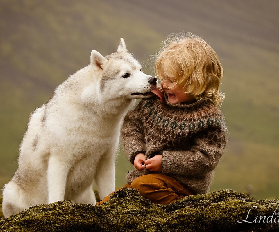 Обои собака, мальчик, хаски, исландия, дружба, друзья, dog, boy, husky, iceland, friendship, friends разрешение 1920x1200 Загрузить