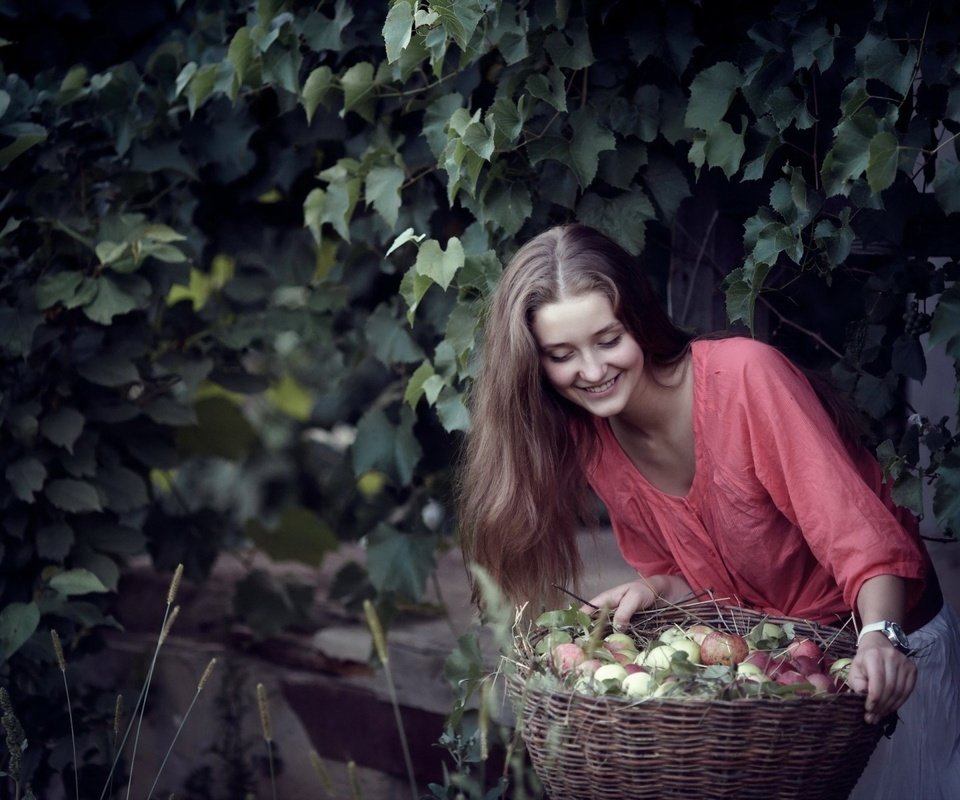 Обои девушка, улыбка, яблоки, корзина, girl, smile, apples, basket разрешение 1920x1200 Загрузить