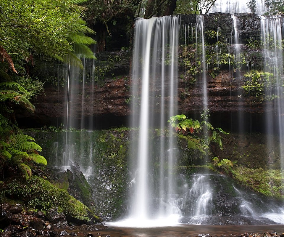 Обои водопад, австралия, тасмания, russell falls, mount field national park, waterfall, australia, tasmania разрешение 1920x1200 Загрузить