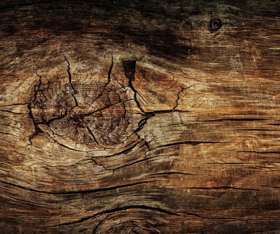 Обои дерево, текстура, доска, древесина, tree, texture, board, wood разрешение 1920x1280 Загрузить