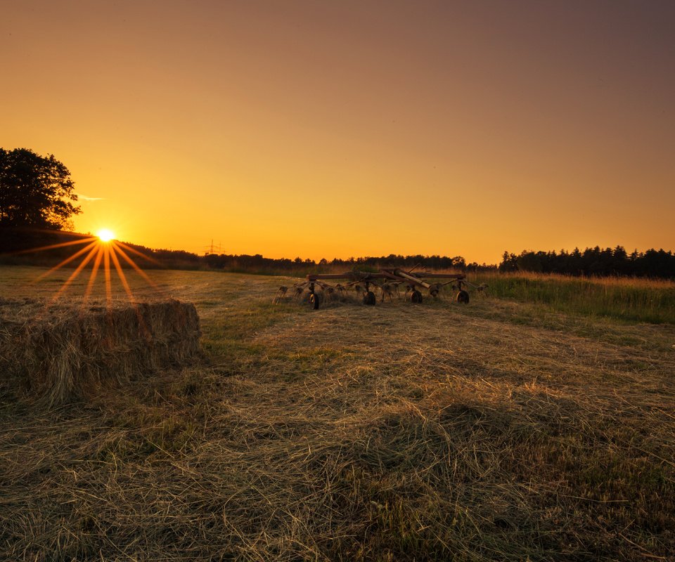 Обои трава, солнце, закат, поле, lena held, grass, the sun, sunset, field разрешение 5472x3648 Загрузить
