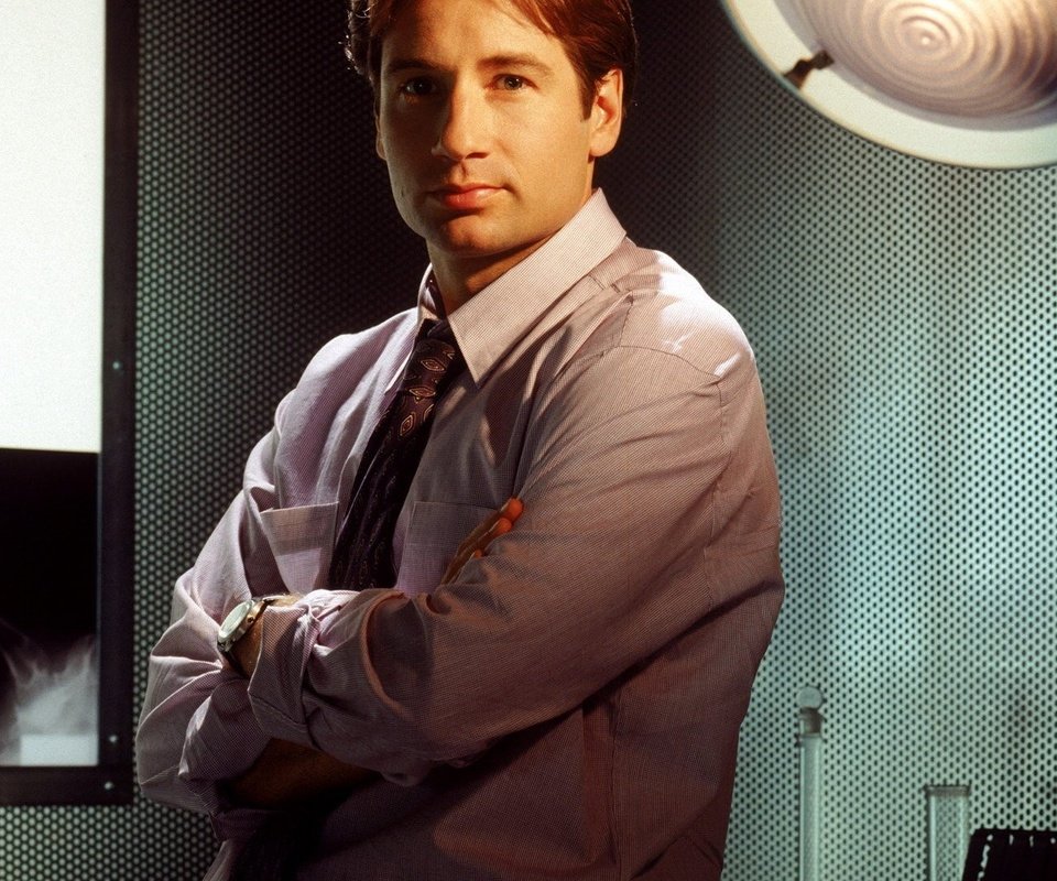 Обои актёр, фильм, лицо, мужчина, дэвид духовны, the x-files, fox mulder, actor, the film, face, male, david duchovny разрешение 1920x1080 Загрузить