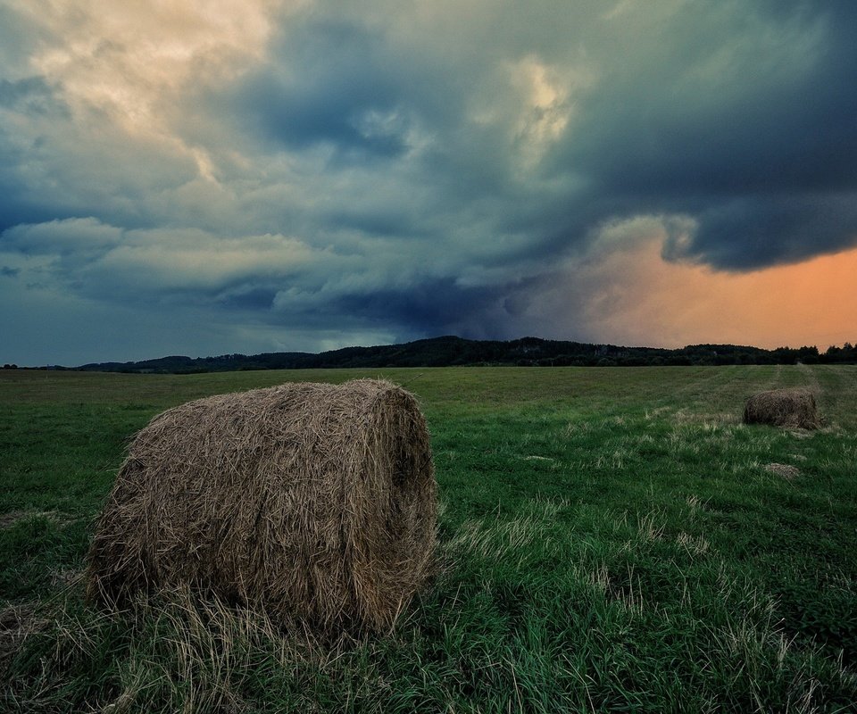 Обои небо, трава, облака, поле, горизонт, сено, тюки, рулоны, the sky, grass, clouds, field, horizon, hay, bales, rolls разрешение 1920x1275 Загрузить