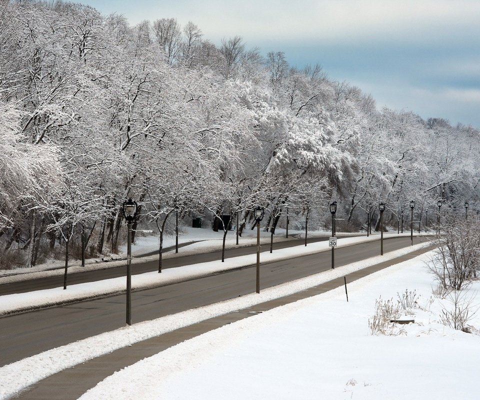 Обои дорога, деревья, фонари, снег, зима, ветки, город, улица, road, trees, lights, snow, winter, branches, the city, street разрешение 1920x1080 Загрузить