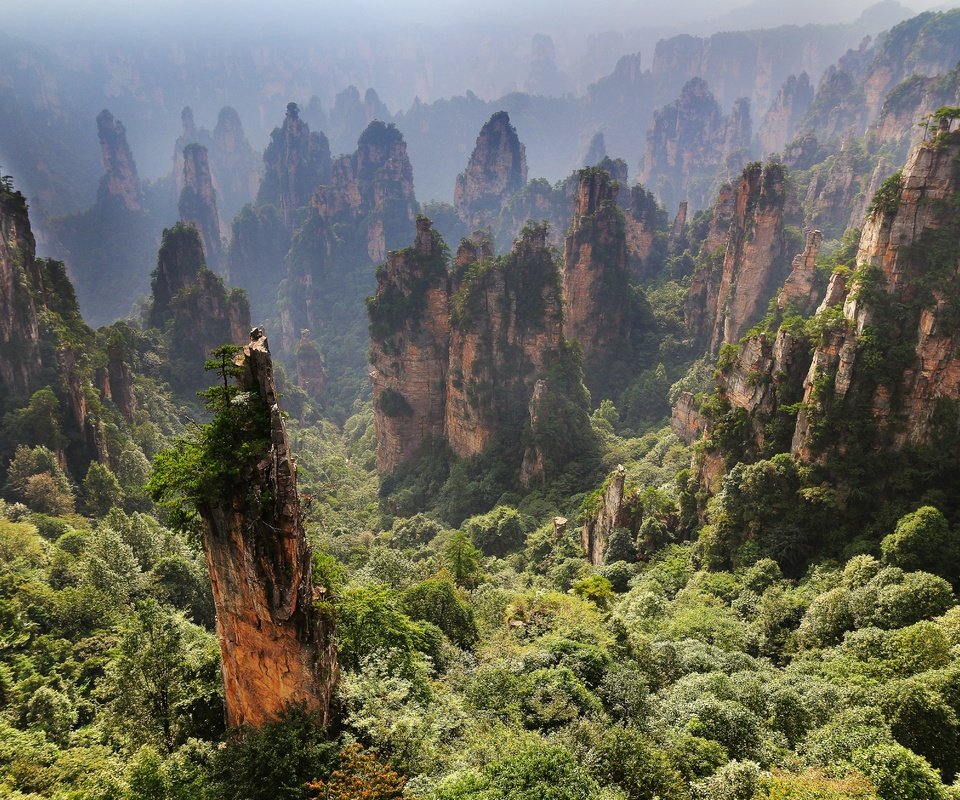 Обои горы, zhangjiajie, zhangjiajie national forest park, скалы, zhangjiajie national park, чжанцзяцзе, природа, пейзаж, утро, туман, китай, национальный парк, mountains, rocks, nature, landscape, morning, fog, china, national park разрешение 5119x3340 Загрузить