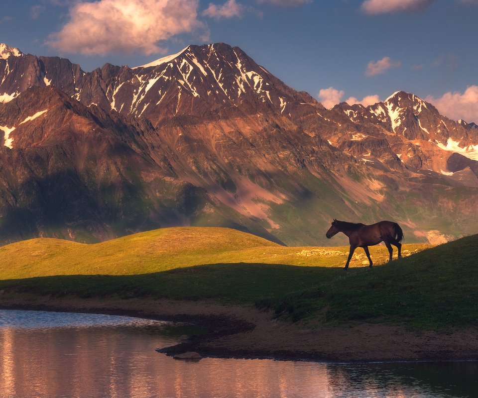 Обои лошадь, озеро, горы, природа, конь, horse, lake, mountains, nature разрешение 1942x1300 Загрузить