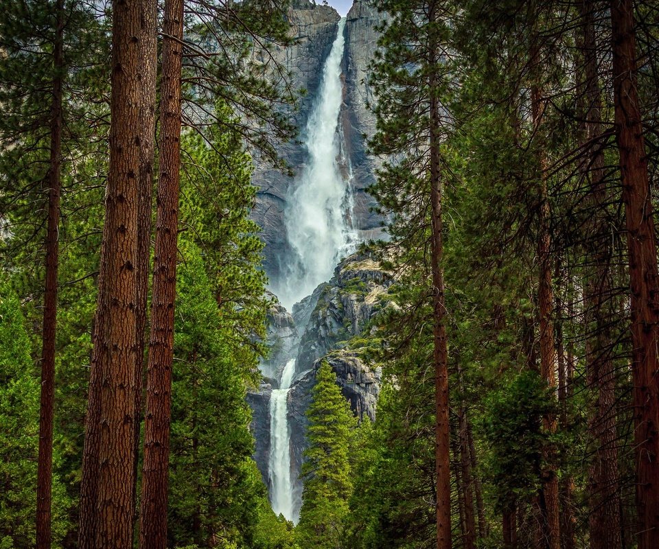 Обои деревья, лес, скала, гора, водопад, йосемите, trees, forest, rock, mountain, waterfall, yosemite разрешение 2048x1290 Загрузить