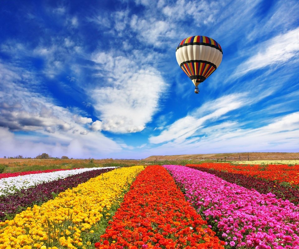 Обои небо, цветы, облака, природа, поле, воздушный шар, the sky, flowers, clouds, nature, field, balloon разрешение 5616x4600 Загрузить