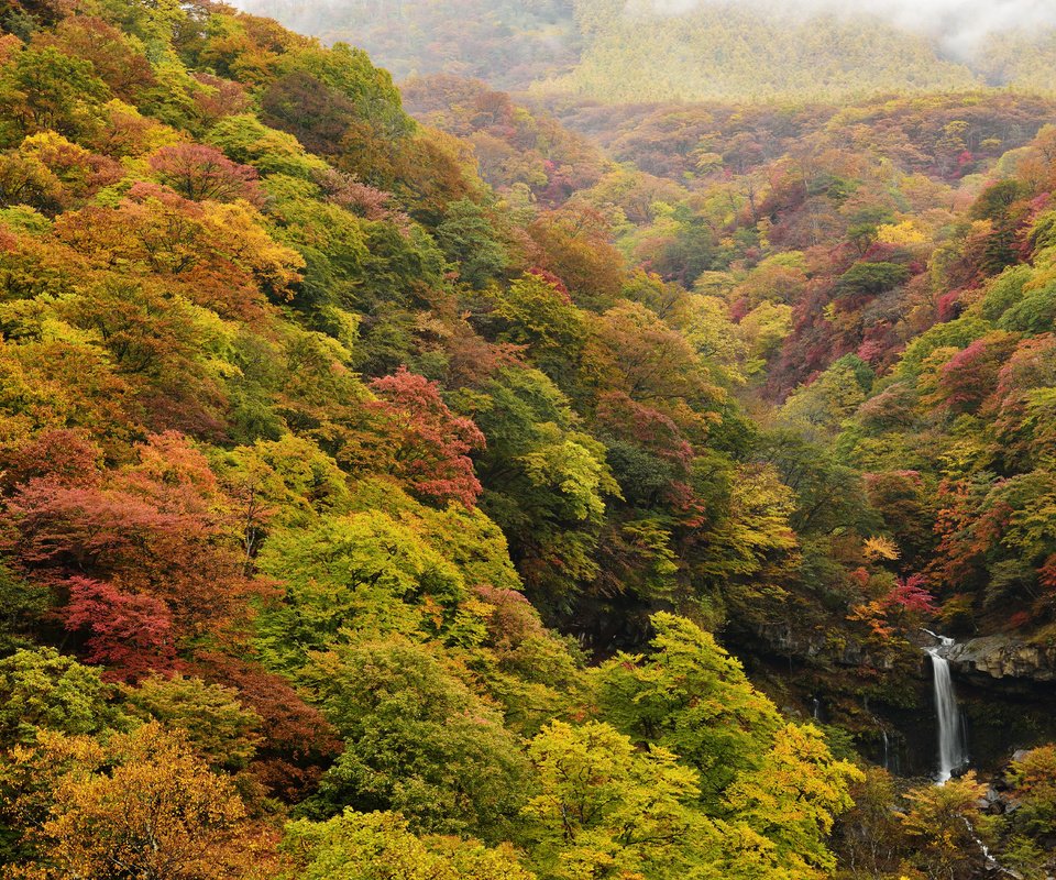 Обои природа, лес, водопад, осень, япония, ирохадзака, nature, forest, waterfall, autumn, japan, irohazaka разрешение 5616x3748 Загрузить