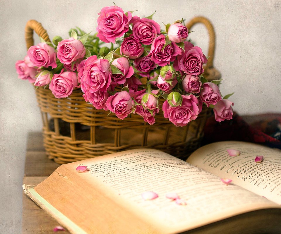 Обои цветы, розы, корзина, книга, flowers, roses, basket, book разрешение 1920x1200 Загрузить