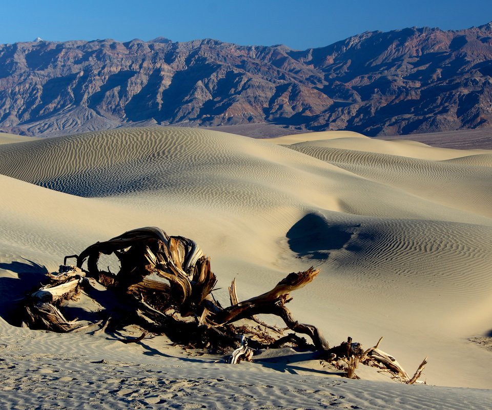 Обои горы, пейзаж, песок, пустыня, коряга, дюны, mountains, landscape, sand, desert, snag, dunes разрешение 3840x2400 Загрузить