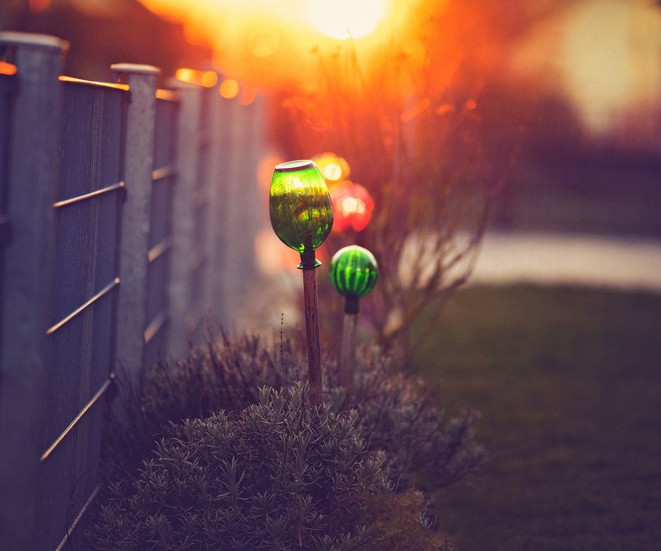 Обои макро, кусты, забор, боке, светильники, macro, the bushes, the fence, bokeh, lamps разрешение 1920x1200 Загрузить