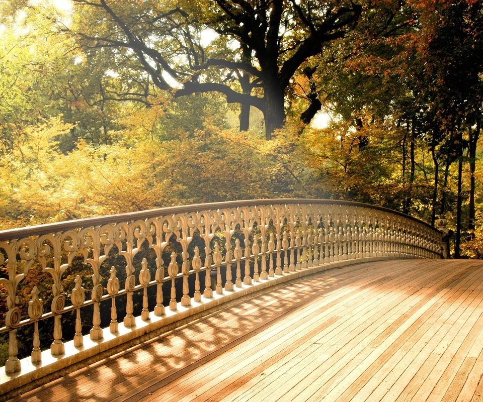 Обои природа, дерево, листья, мост, осень, деревянный мост, nature, tree, leaves, bridge, autumn, wooden bridge разрешение 2000x1376 Загрузить