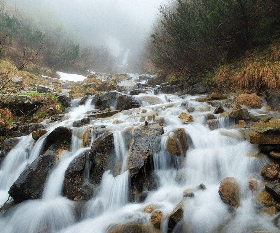 Обои река, скалы, природа, камни, лес, ручей, водопад, карпаты, river, rocks, nature, stones, forest, stream, waterfall, carpathians разрешение 1920x1284 Загрузить