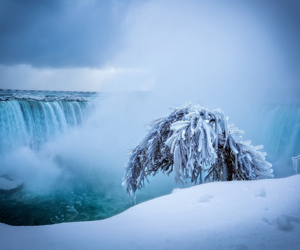 Обои снег, природа, дерево, зима, водопад, ниагарский водопад, snow, nature, tree, winter, waterfall, niagara falls разрешение 2560x1600 Загрузить