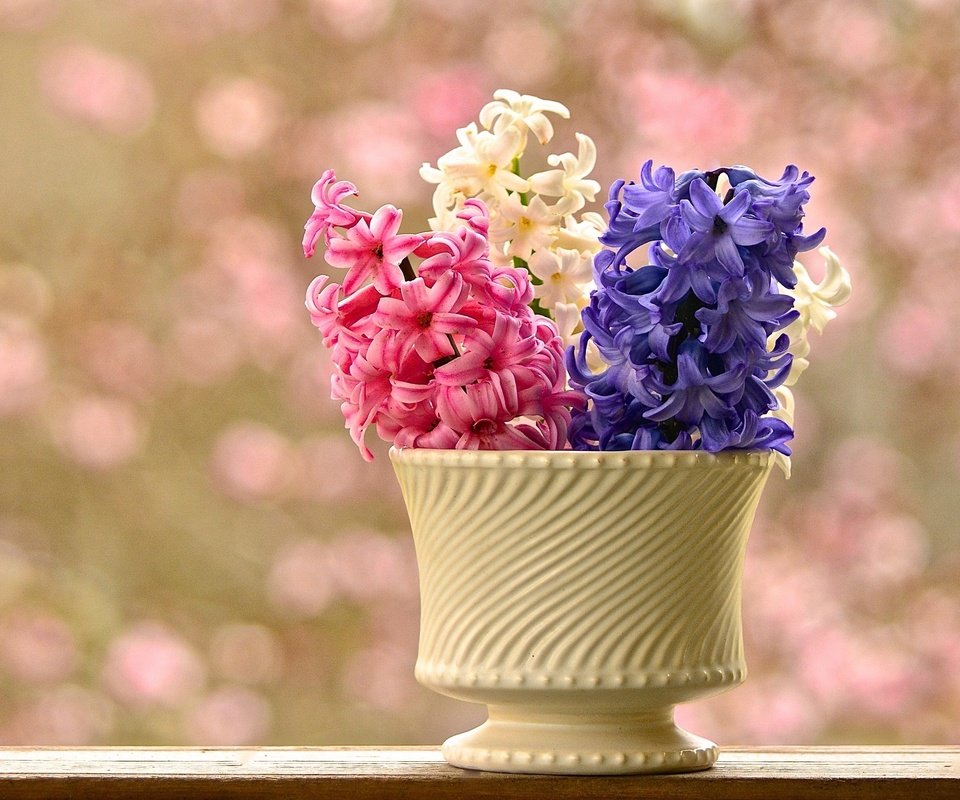 Обои цветы, ваза, боке, гиацинты, flowers, vase, bokeh, hyacinths разрешение 3000x1999 Загрузить