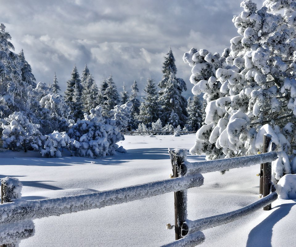 Обои деревья, снег, природа, зима, забор, изгородь, trees, snow, nature, winter, the fence, fence разрешение 5721x3825 Загрузить