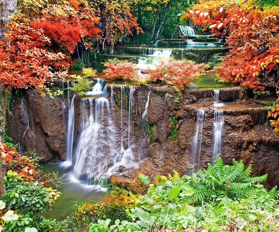 Обои деревья, вода, камни, листья, водопад, осень, мох, trees, water, stones, leaves, waterfall, autumn, moss разрешение 2560x1600 Загрузить